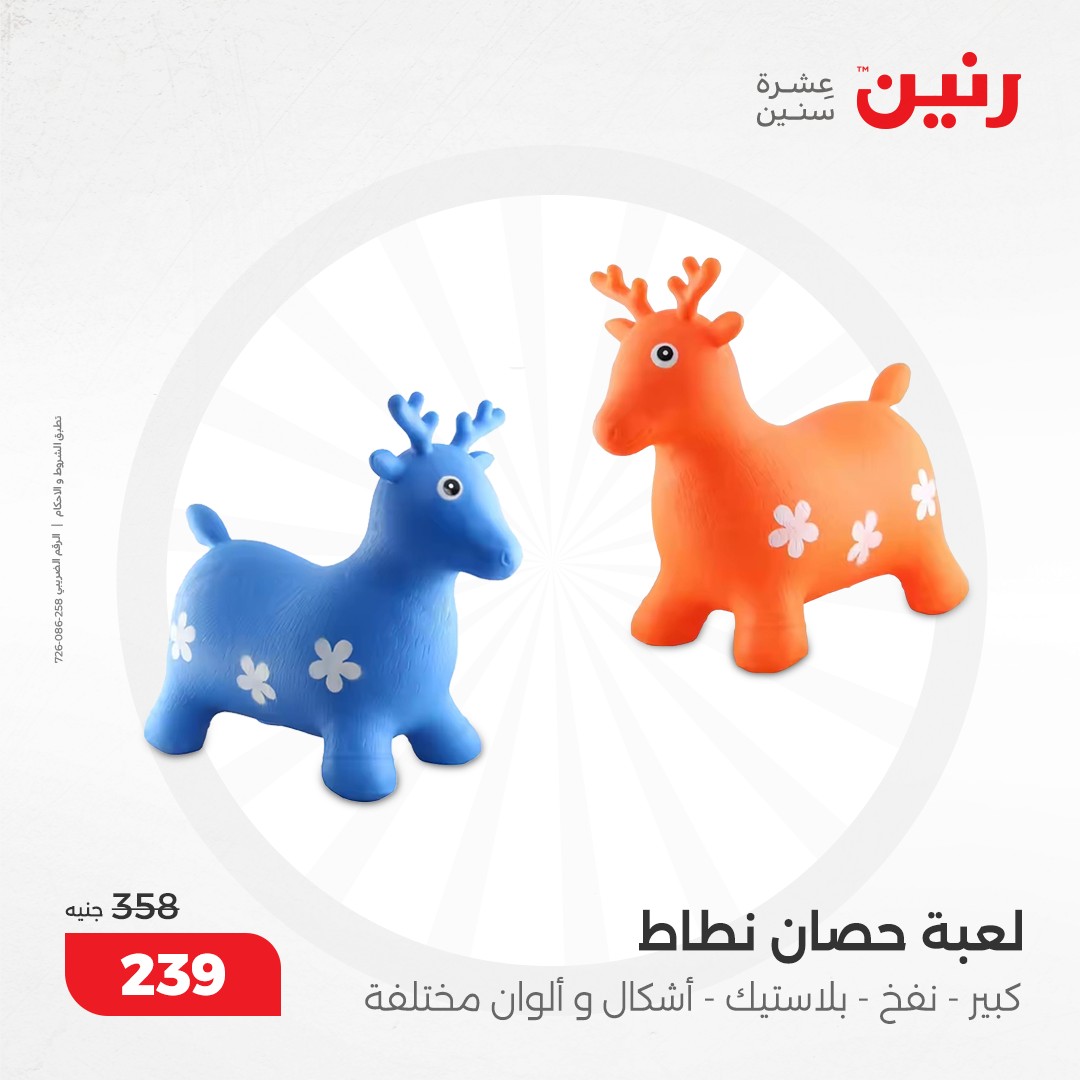 raneen offers from 17dec to 18dec 2024 عروض رنين من 17 ديسمبر حتى 18 ديسمبر 2024 صفحة رقم 79